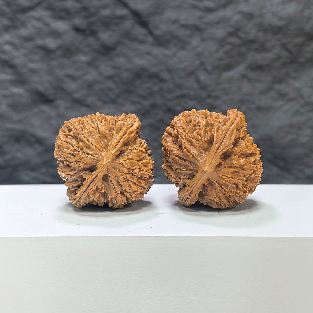 Pair of Wenwan Art Water Dragon Texture classic Wenwan walnuts, 40mm x 39mm, showcasing intricate water dragon pattern and smooth finish.