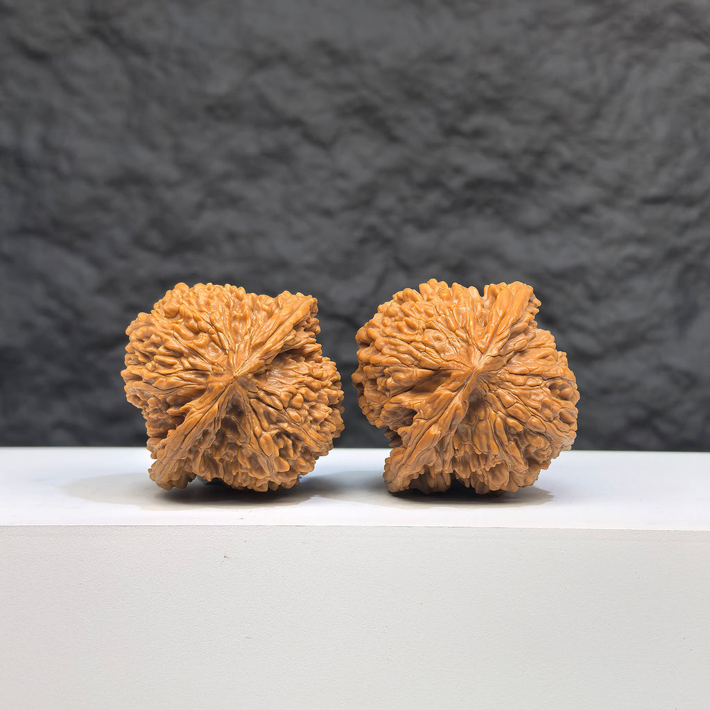 Pair of Babys Breath Wenwan Walnuts by Wenwan Art, featuring full star carvings, 38mm size, showcasing intricate craftsmanship.