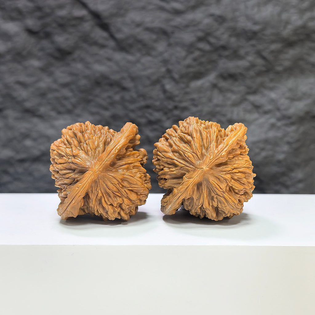 Pair of Sizuolou Wenwan walnuts by Wenwan Art, 42mm x 38mm, featuring natural wood grain and smooth polished surface.