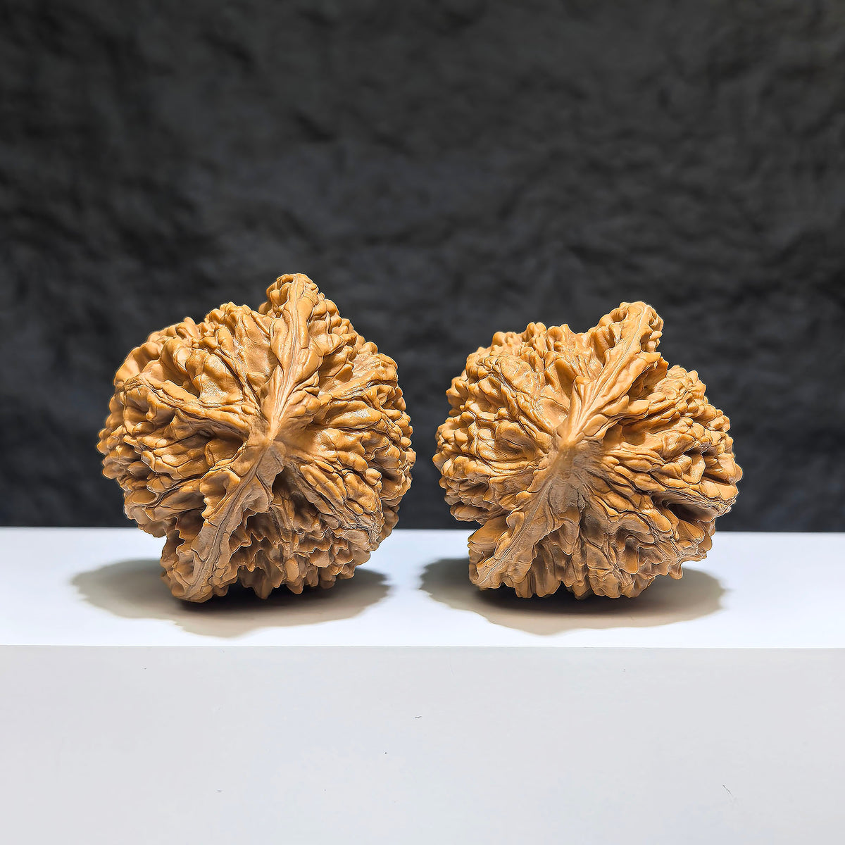 Pair of large Wenwan Art official Wenwan walnut nuts, 49mm x 46mm, featuring smooth, polished surfaces and natural wood grain details.