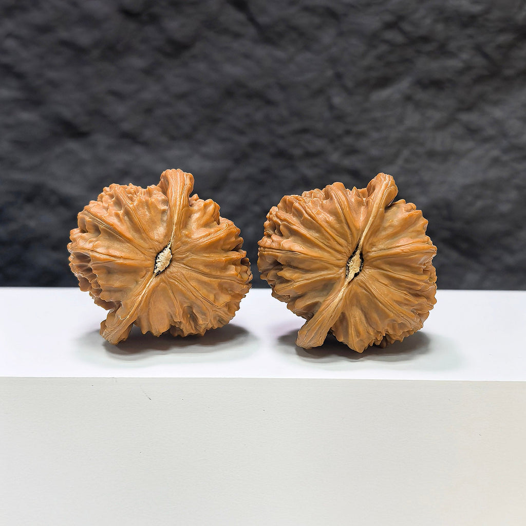 【收藏級】球形白獅子 文玩核桃 (4.1 × 4.1cm) | [Collector's Grade] Spherical White Lion Walnut (4.1 × 4.1cm) - SKU: BSZ-1A0