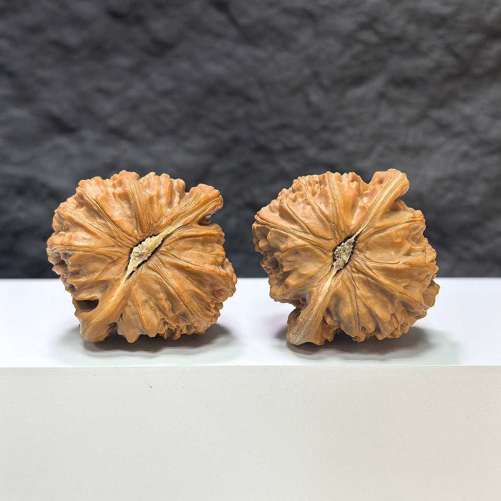 【收藏級】三角白獅子 文玩核桃 (4.4 × 4.3cm) | [Collector's Grade] Tri-Angular White Lion Walnut (4.4 × 4.3cm) - SKU: BSZ-1A2