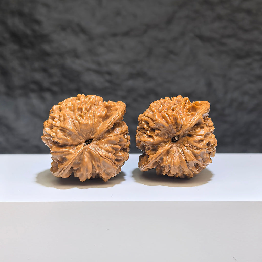 Pair of small Wenwan walnut miniatures from Wenwan Art, 34mm x 33mm, showcasing detailed craftsmanship and natural walnut appearance.
