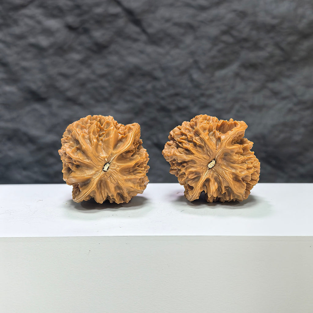 Pair of Wenwan Art Dragon Scale Classic Wenwan Walnuts with 36mm diameter, featuring intricate dragon scale patterns.