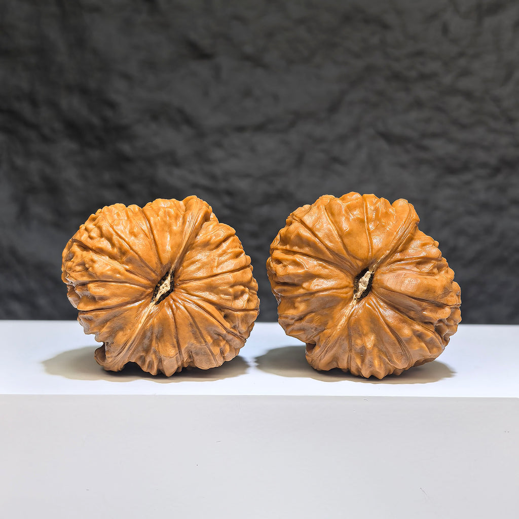 【收藏級】南瓜墩 文玩核桃 (4.2 × 4.4cm) | [Collector's Grade] Pumpkin Pier Walnut (4.2 × 4.4cm) - SKU: NGD-1Z6
