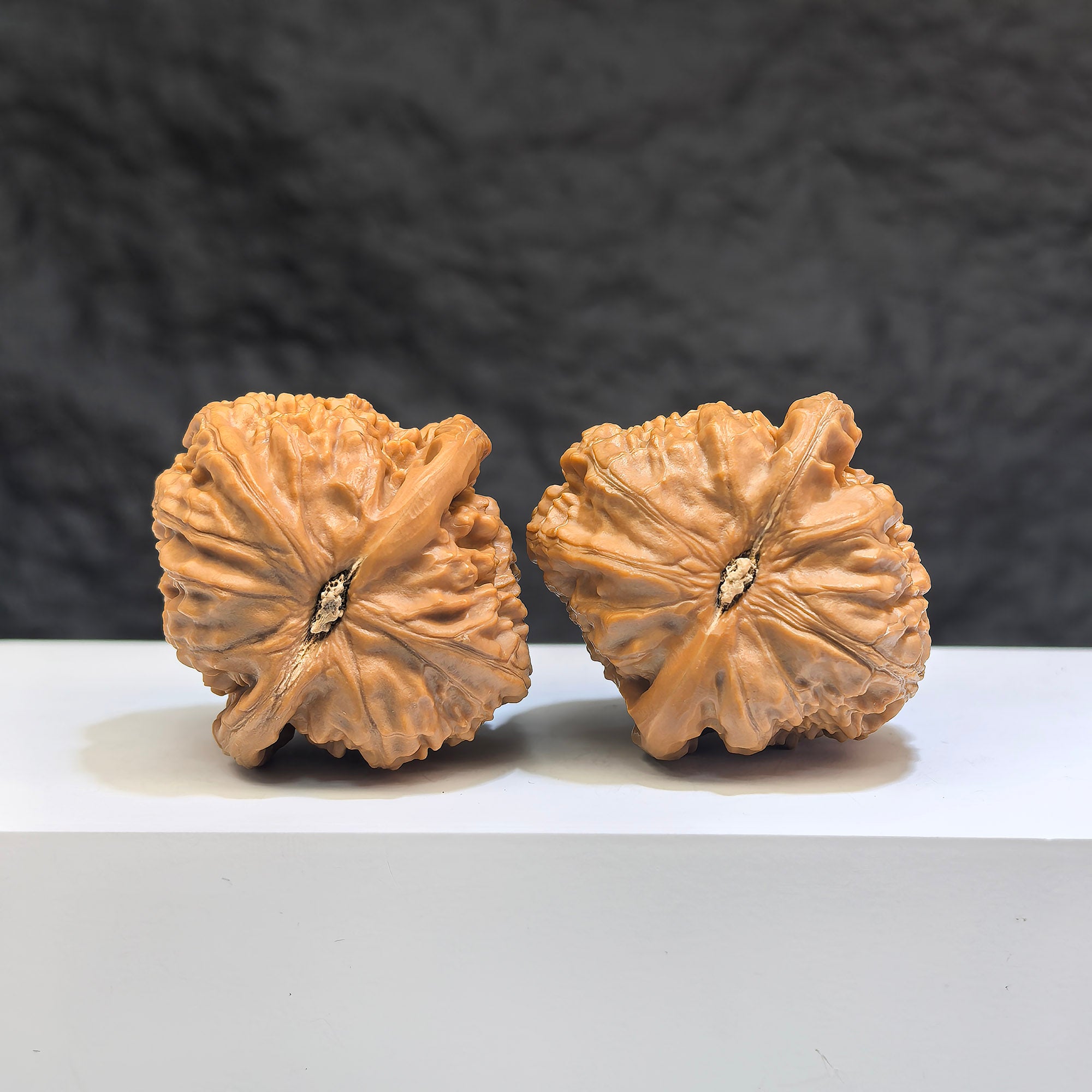 White Lion Wenwan Walnut pair from Wenwan Art, featuring two 38x39mm classic walnuts with intricate carvings.