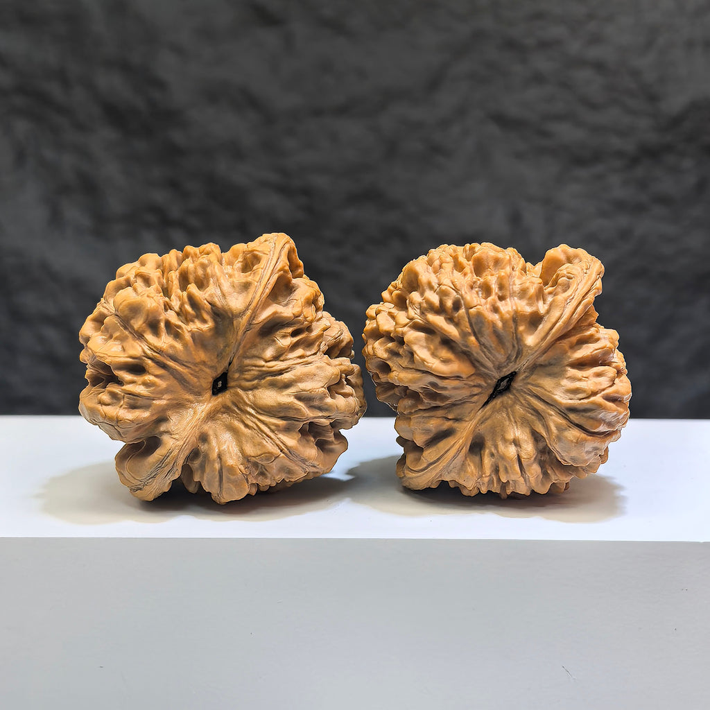 Pair of Classic Scholar Wenwan Walnuts by Wenwan Art, featuring 麒麟紋凹底 design, 47mm x 44mm, hand-matched walnut art collectibles.