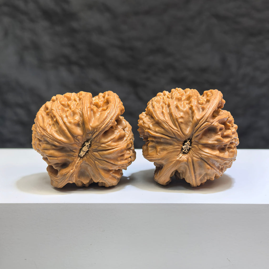 Pair of spherical white lion Wenwan walnuts from Wenwan Art, round profile, approximately 44mm x 43mm, featuring detailed lion carvings.