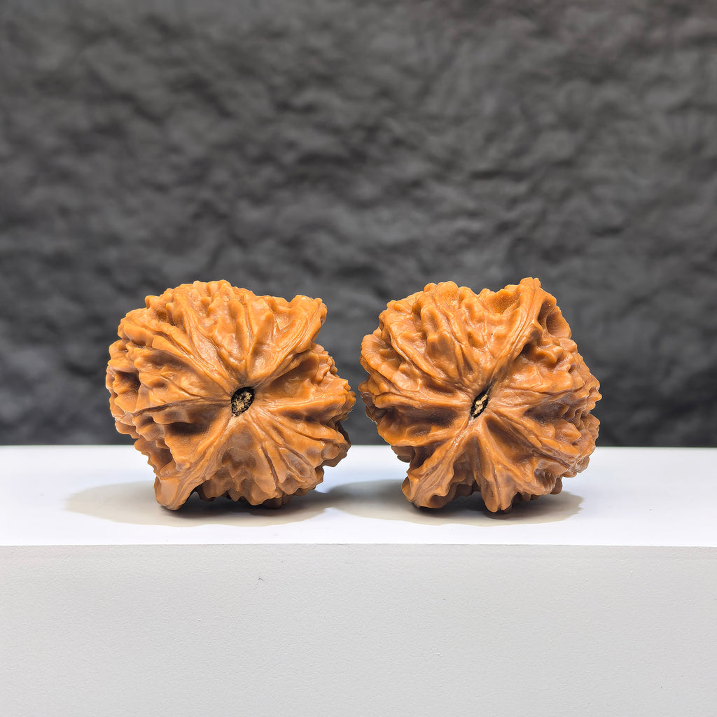 Close-up of Wenwan Art Dragon Scale Classic Wenwan Walnuts pair, 36mm, featuring intricate dragon scale patterns and smooth surfaces.
