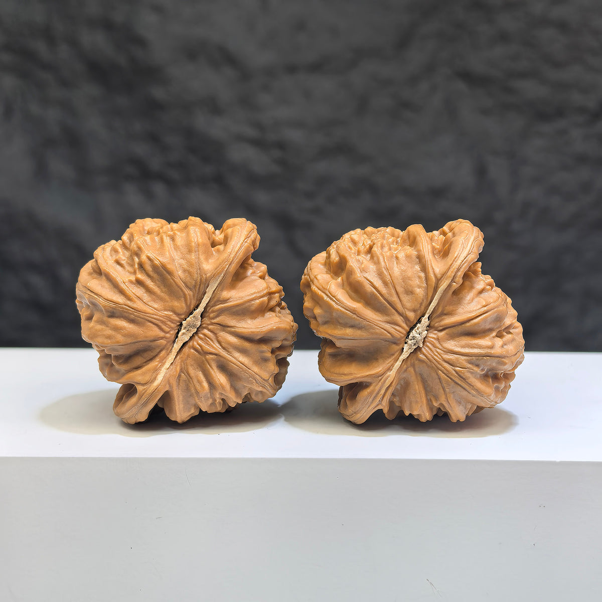Pair of spherical white Wenwan Walnuts featuring lion carvings from Wenwan Art, 38mm round profile, detailed natural wood texture.