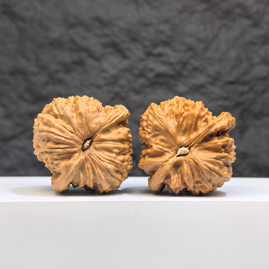 White Lion Wenwan Walnut pair from Wenwan Art, featuring detailed carved designs, measuring 37x38mm, showcasing traditional craftsmanship.