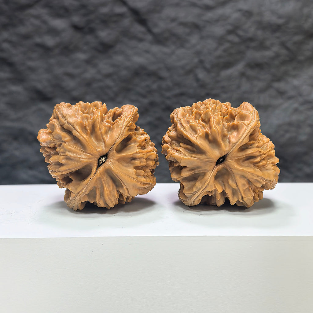 Pair of Dazhan Stone Wenwan walnuts from Wenwan Art, 43mm x 45mm, showcasing smooth, polished natural stone walnut carvings.