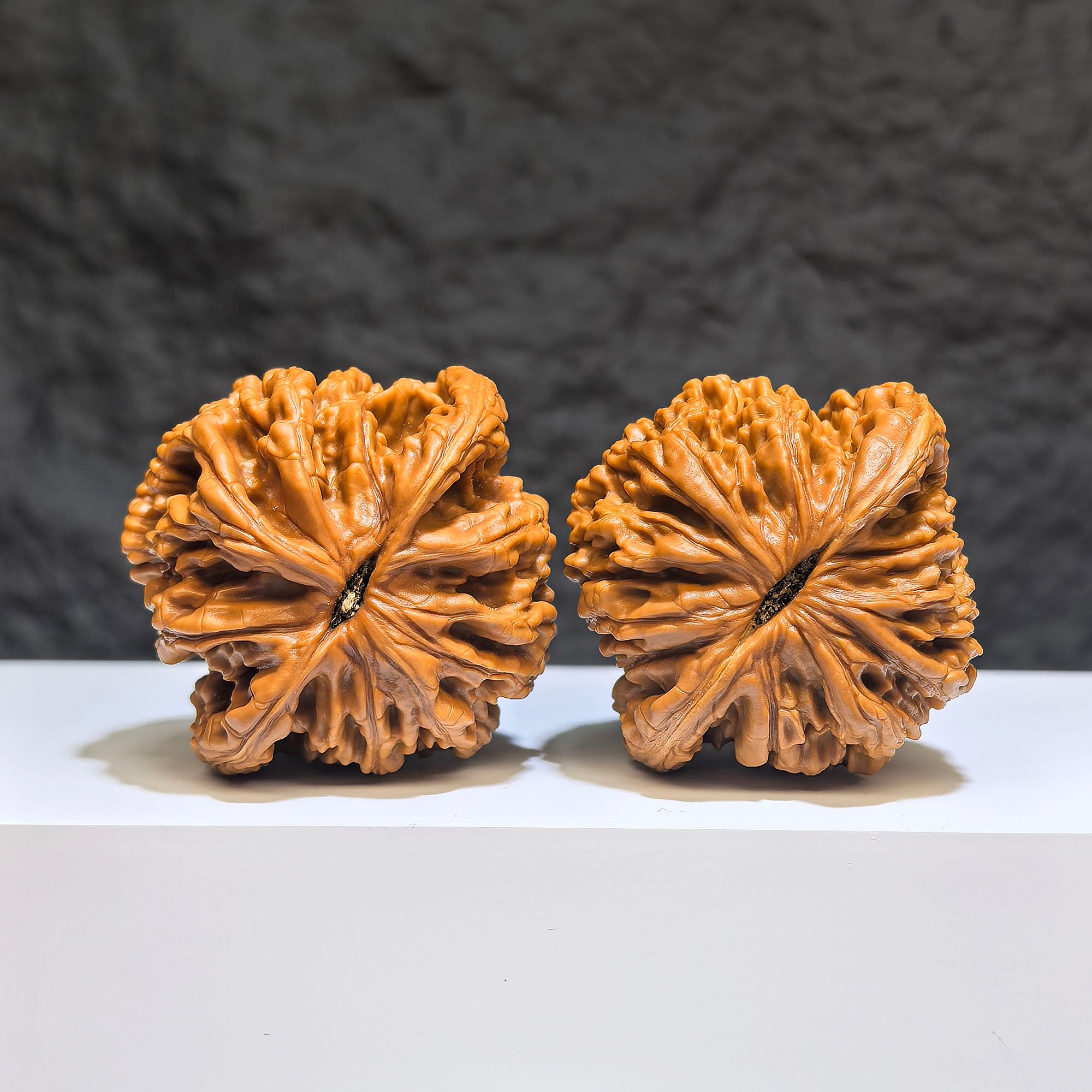 【收藏級】獅虎獸 文玩核桃 (4.7 × 4.4cm) | [Collector's Grade] Liger Walnut (4.7 × 4.4cm) - SKU: SHS-1Z0