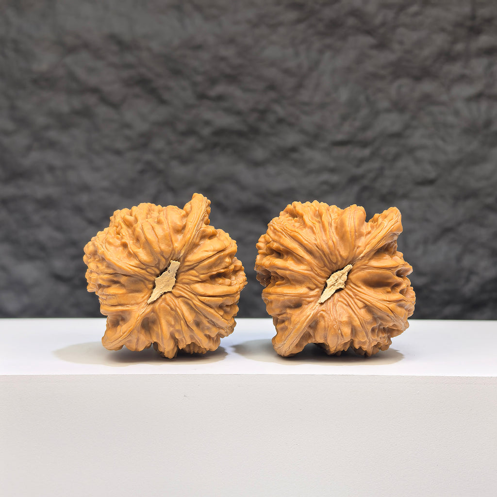 Pair of Wenwan Art "Ruby" classic Wenwan walnuts, 41mm x 37mm, featuring deep red gemstone-like appearance and smooth polished surface.