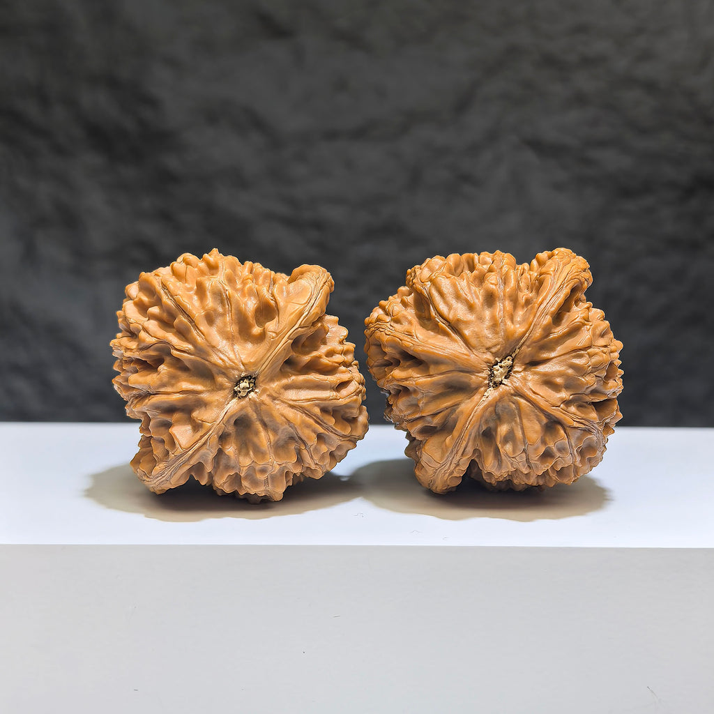 Pair of Classic Scholar Wenwan walnuts by Wenwan Art, hand-matched water dragon pattern, 40mm spherical Wenwan walnut set.