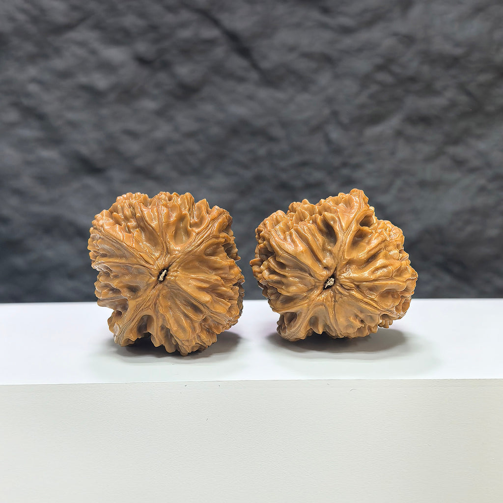 Pair of Beijing Chicken Heart Wenwan walnuts from Wenwan Art, 39mm size, showcasing smooth, polished walnut carvings with detailed textures.