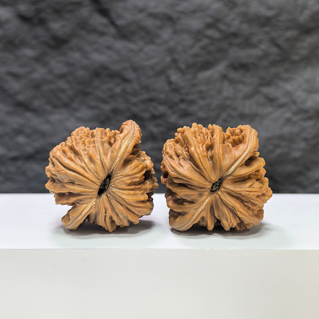 Pair of Sizuolou Wenwan Walnuts from Wenwan Art, 39mm x 37mm, showcasing detailed carved walnut art.