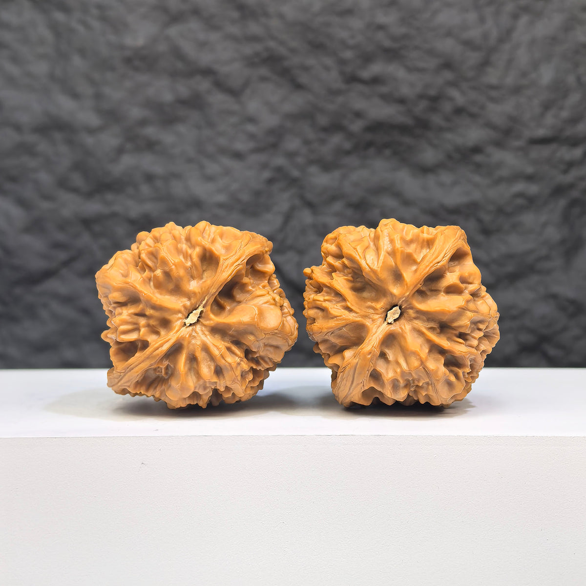 Selected grade Wild Bison Wenwan Walnut, 3.8x3.7cm, showcasing smooth surface and natural wood grain from Wenwan Art.