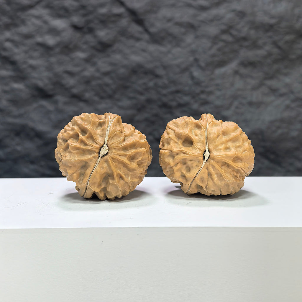Wenwan Art Golden Toad Vessel Pocket miniature Wenwan walnut pair, 34mm x 37mm, featuring detailed toad and vessel carvings.