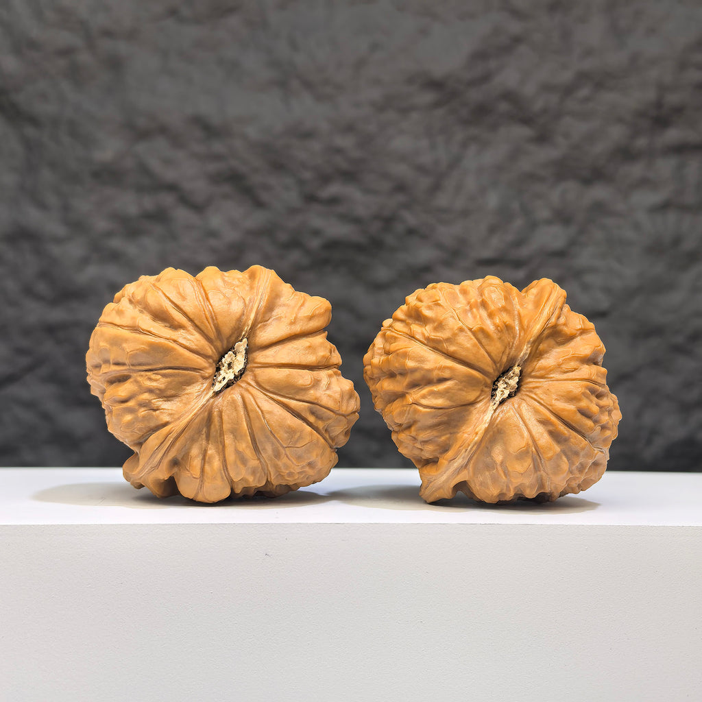 Pair of Pumpkin Pier Wenwan walnuts by Wenwan Art, featuring 41mm and 44mm carved walnut pieces with detailed pumpkin design