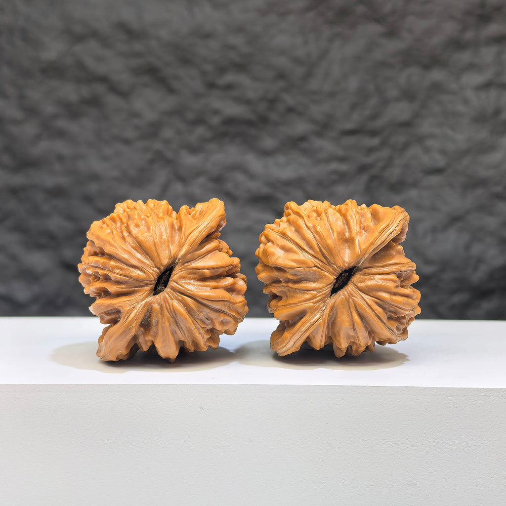 Pair of Sizuolou Wenwan Walnuts from Wenwan Art, classic 40mm x 37mm walnuts with detailed natural wood texture.