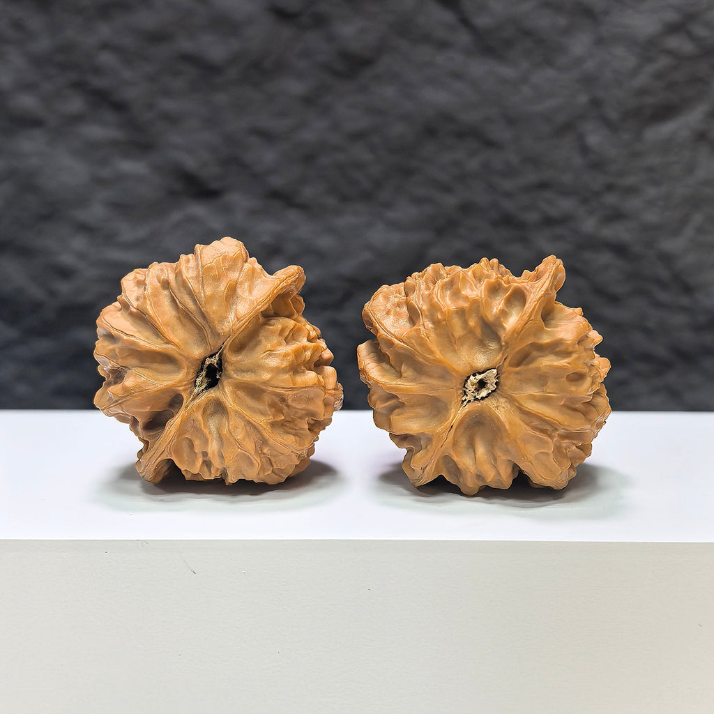 【收藏級】九龍峪桃心 文玩核桃 (3.9 × 3.9cm) | [Collector's Grade] Jiulongyu Peach Heart Walnut (3.9 × 3.9cm) - SKU: TXJLY-1A8