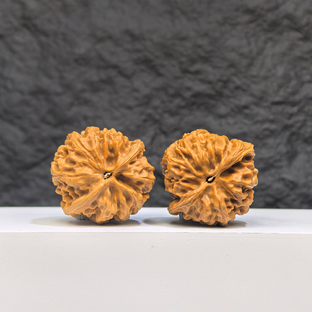 Pair of Golden Taurus Wenwan Walnuts by Wenwan Art, 36mm x 35mm, featuring detailed golden walnut carvings.