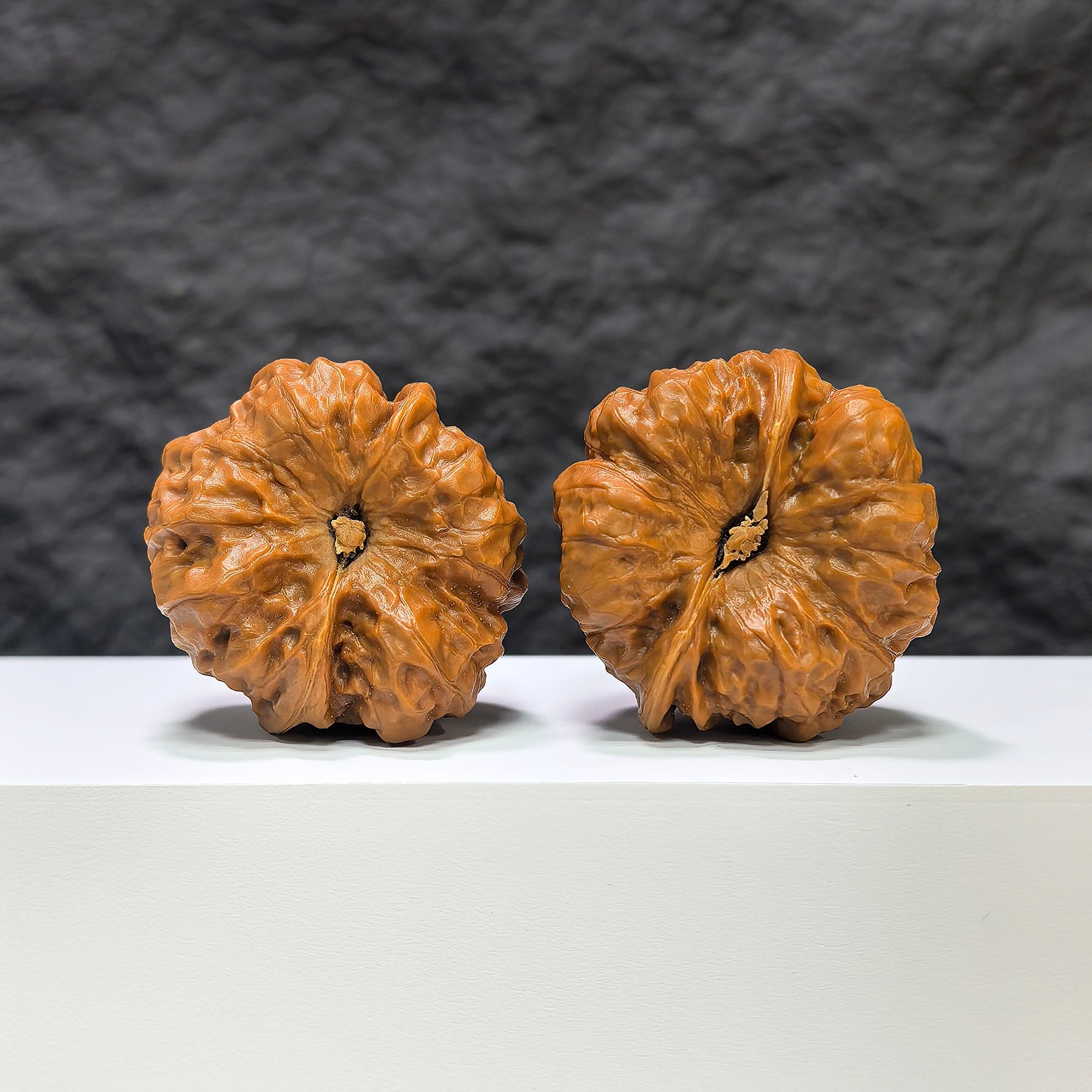 【收藏級】蛤蟆頭 文玩核桃 (4.4 × 4.4cm) | [Collector's Grade] Toad Head Walnut (4.4 × 4.4cm) - SKU: HMT-1B0