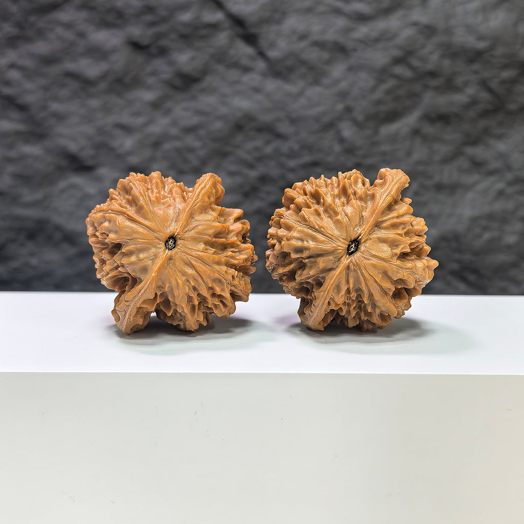 Pair of Golden Kylin Wenwan walnuts by Wenwan Art, 42mm x 40mm, showcasing detailed carved designs on smooth, polished walnuts.