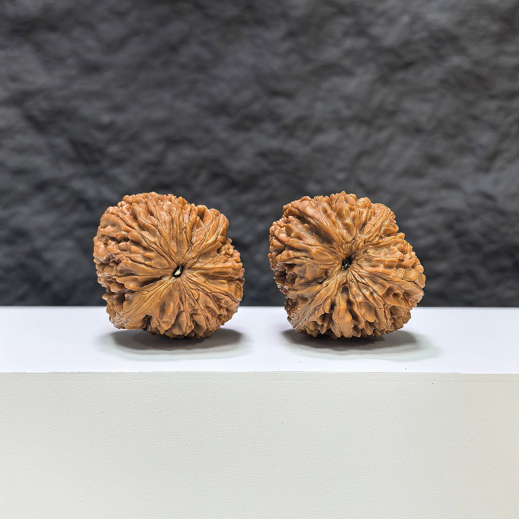【收藏級】觀音瓶 × 大蒜頭 文玩核桃 (3.4 × 3.7cm) | [Collector's Grade] Guanyin Vase x Garlic Head Walnut (3.4 × 3.7cm) - SKU: GYP-1B3