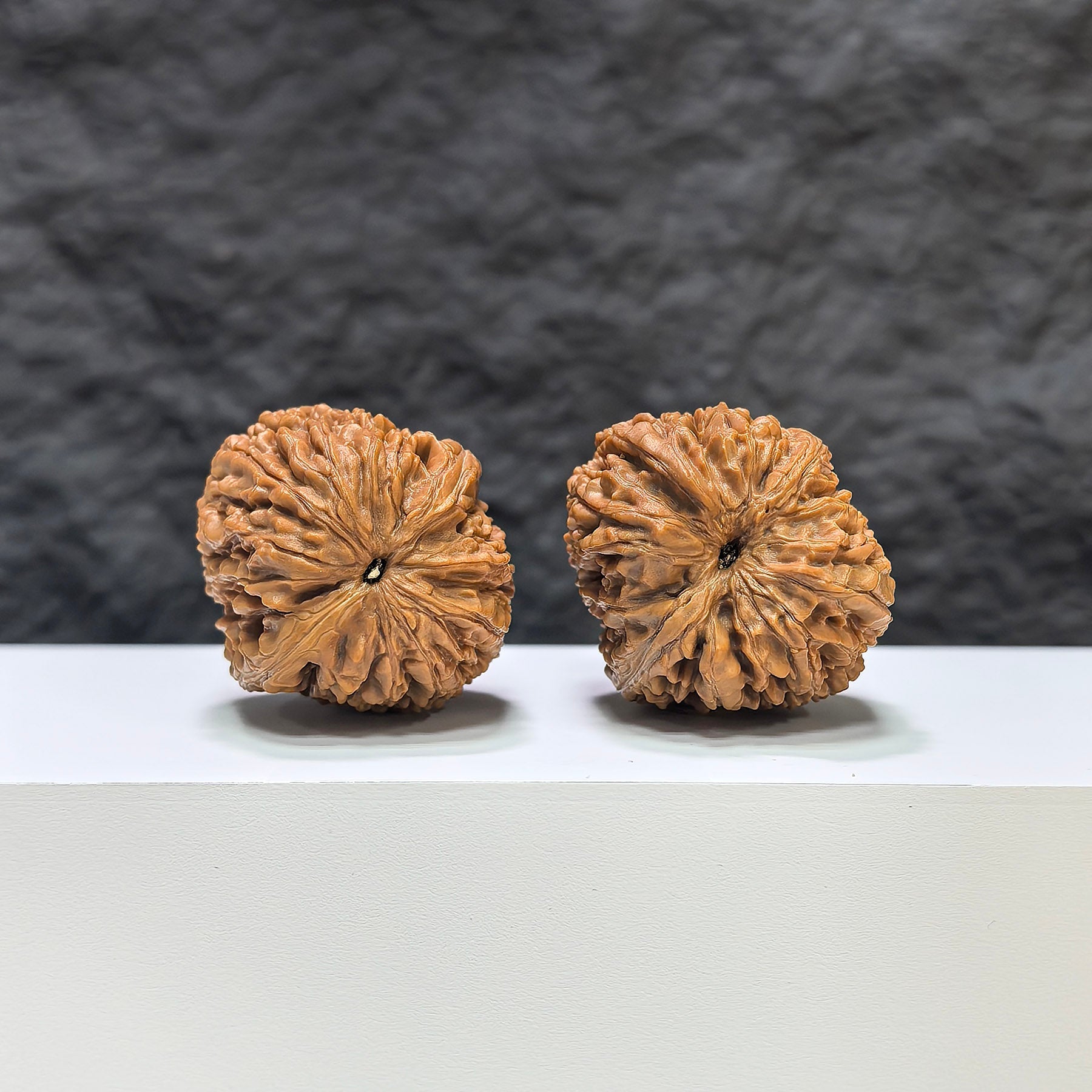 【收藏級】觀音瓶 × 大蒜頭 文玩核桃 (3.4 × 3.7cm) | [Collector's Grade] Guanyin Vase x Garlic Head Walnut (3.4 × 3.7cm) - SKU: GYP-1B3