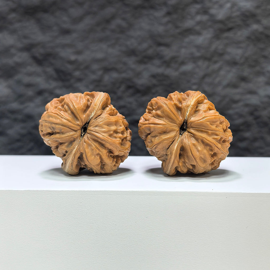 【收藏級】平谷元寶 文玩核桃 (3.8 × 4.1cm) | [Collector's Grade] Pinggu Sycee Walnut (3.8 × 4.1cm) - SKU: PGYB-1B7
