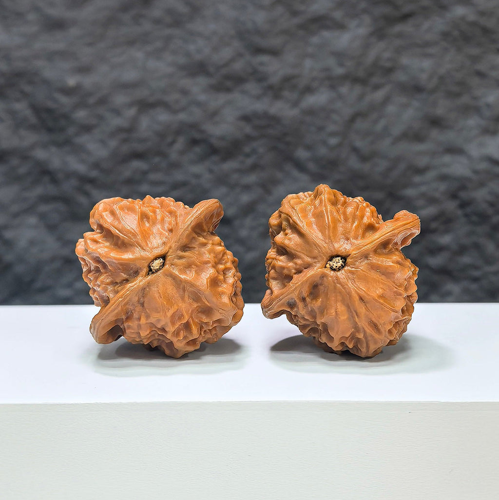 【收藏級】瓷娃娃 文玩核桃 (3.8 × 3.8cm) | [Collector's Grade] Porcelain Doll Walnut (3.8 × 3.8cm) - SKU: CWW-1C6