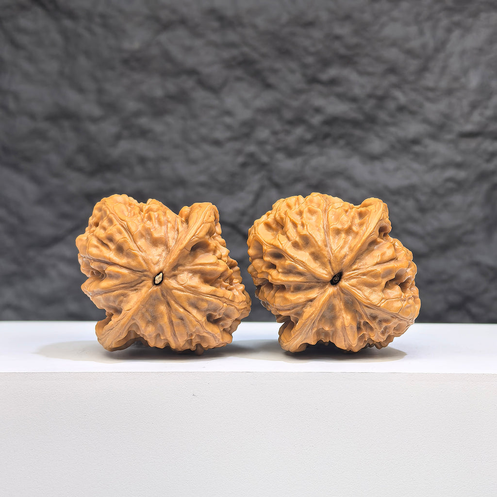 Authentic Wild Wenwan Walnut pair from Wenwan Art, featuring natural wood grain and size 37.0mm x 39.0mm, labeled Wild Wolf.