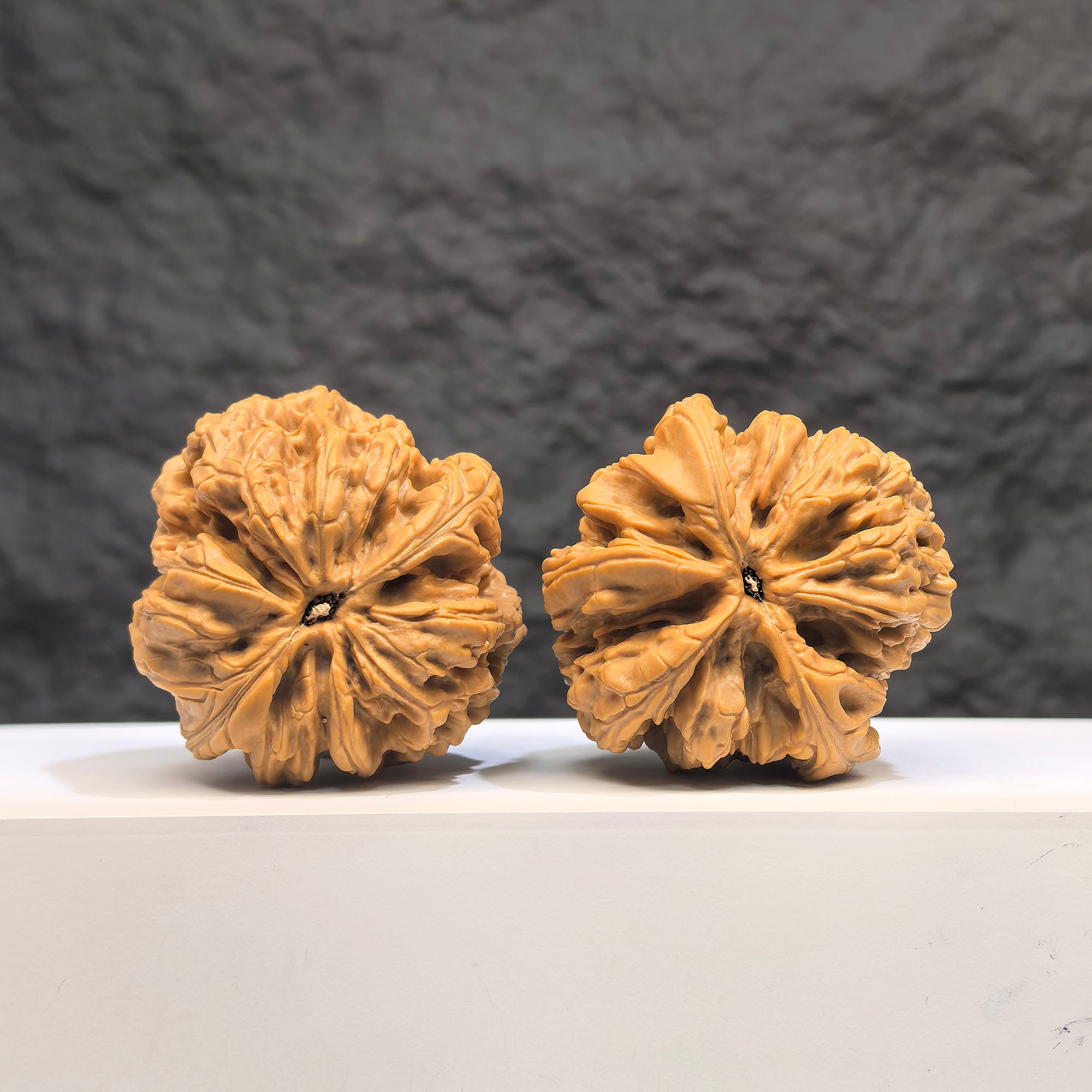 Selected grade Blizzard Wenwan Walnut, 4.3x4.4cm, showing smooth surface and natural wood grain from Wenwan Art.
