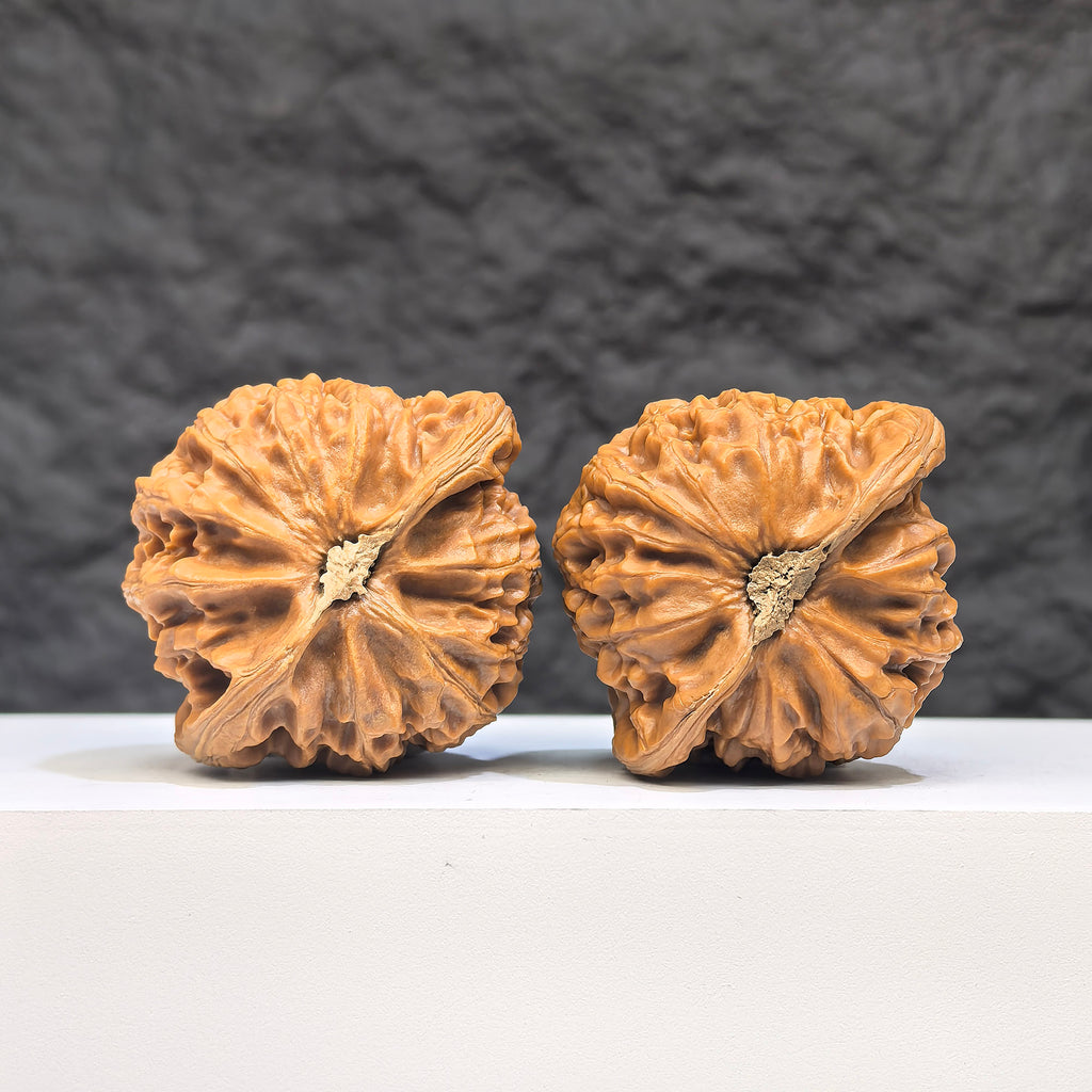 Pair of Palace Lantern Wenwan walnuts by Wenwan Art, 41mm x 37mm, featuring intricate carved designs and traditional craftsmanship.