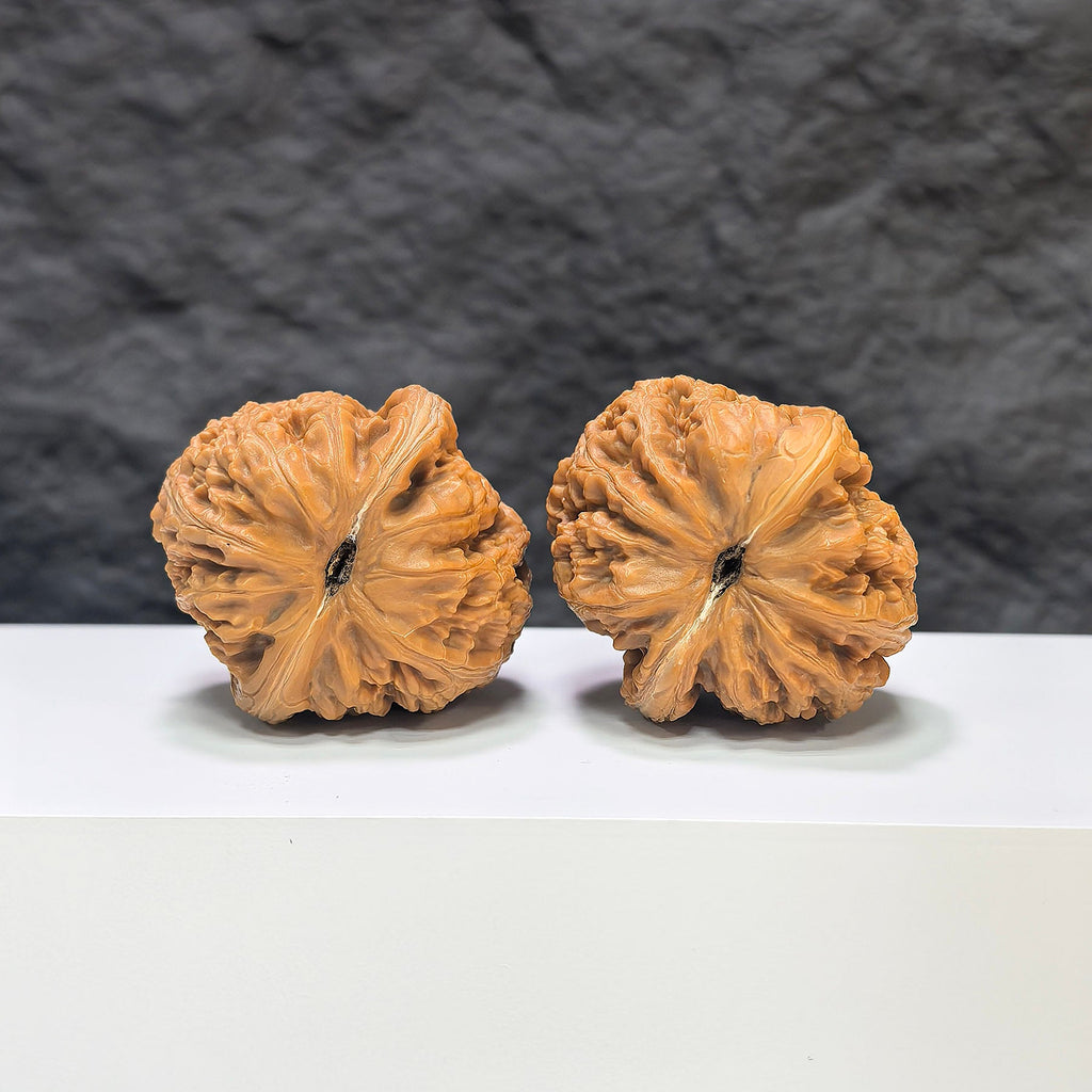 【精選級】平谷元寶 文玩核桃 (4.0 × 4.3cm) | [Selected Grade] Pinggu Sycee Walnut (4.0 × 4.3cm) - SKU: PGYB-1S0