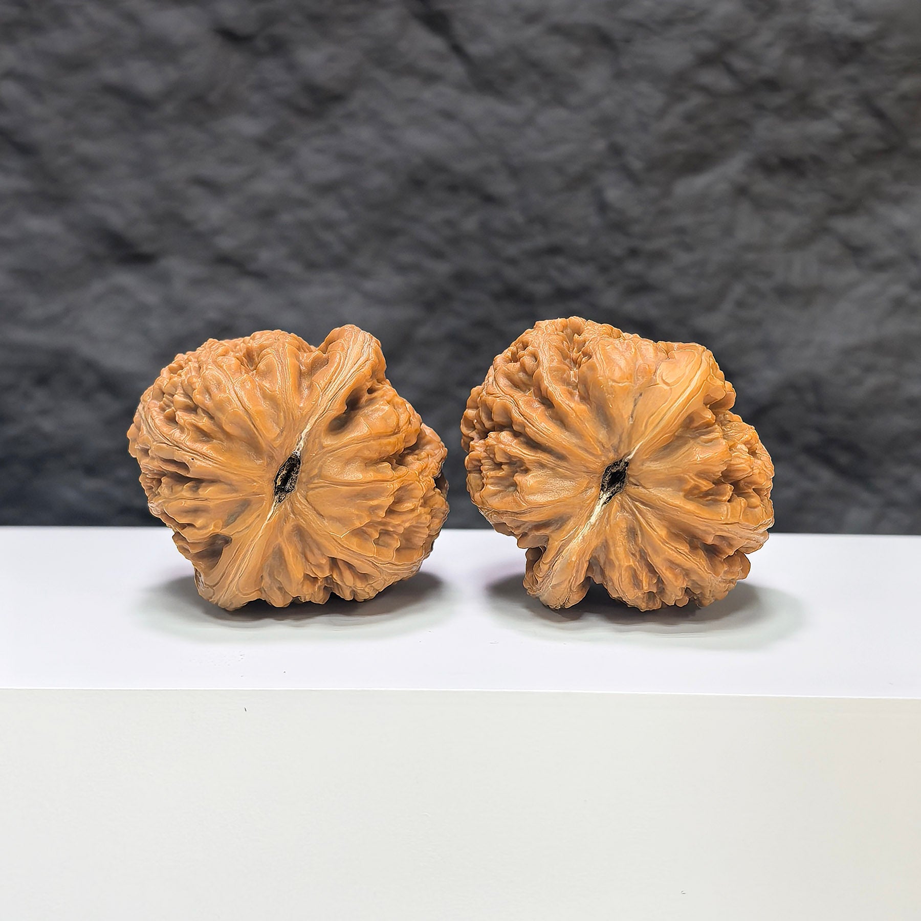 【精選級】平谷元寶 文玩核桃 (4.0 × 4.3cm) | [Selected Grade] Pinggu Sycee Walnut (4.0 × 4.3cm) - SKU: PGYB-1S0