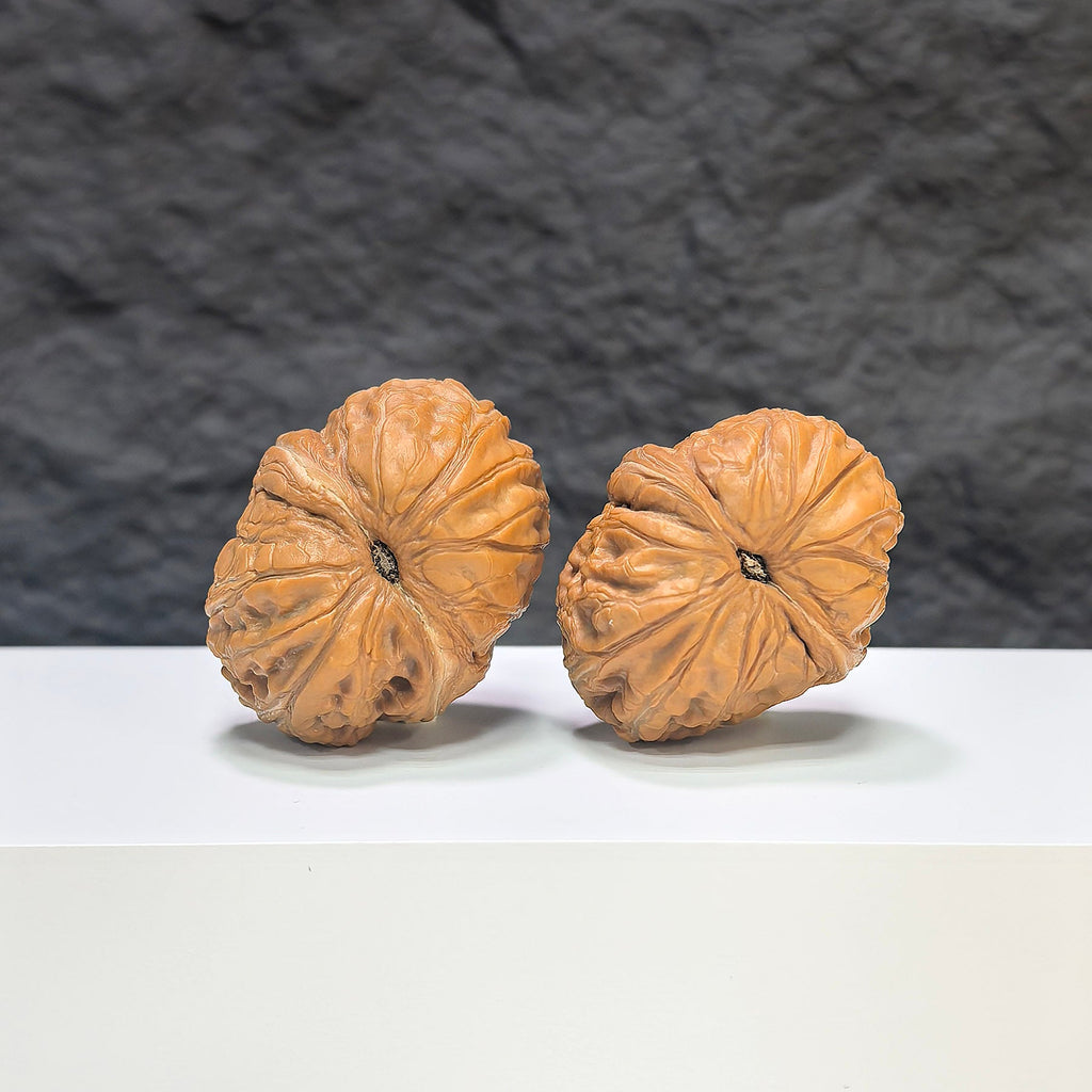 【精選級】平谷元寶 文玩核桃 (3.3 × 4.0cm) | [Selected Grade] Pinggu Sycee Walnut (3.3 × 4.0cm) - SKU: PGYB-1S6