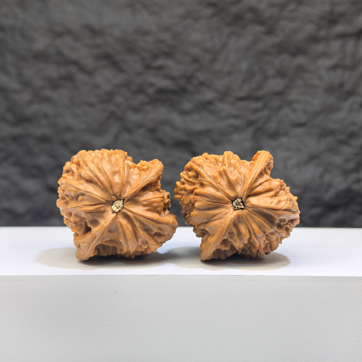 Pair of authentic Wild Wenwan Walnuts from Wenwan Art, 36mm, featuring natural wild millstone textures and markings.