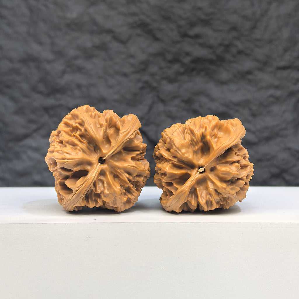 Selected grade Wild Bison Walnut Wenwan art piece, 3.8×3.6cm, showcasing smooth, polished walnut with natural wood grain details.