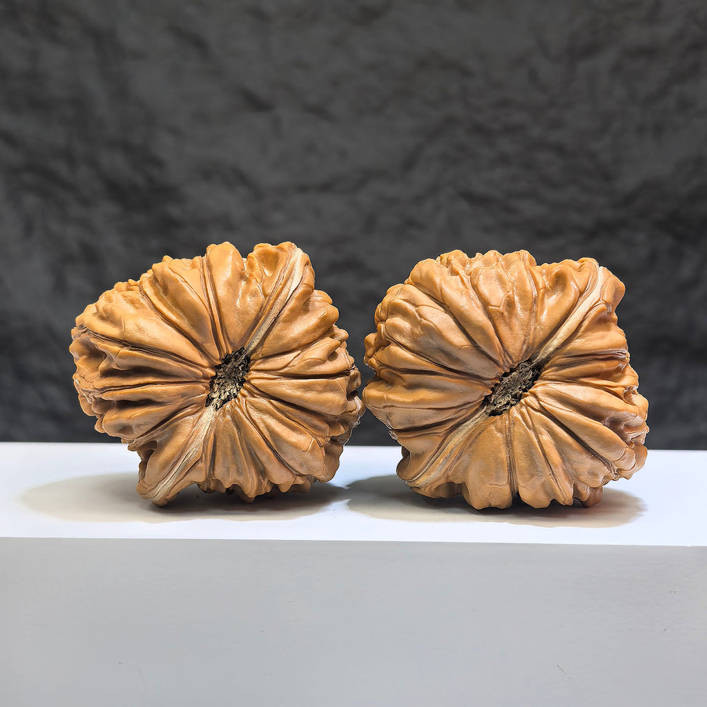 Pair of Huakun Dragon Wenwan walnuts with dragon-scale pattern, measuring 49mm x 51mm, from Wenwan Art.