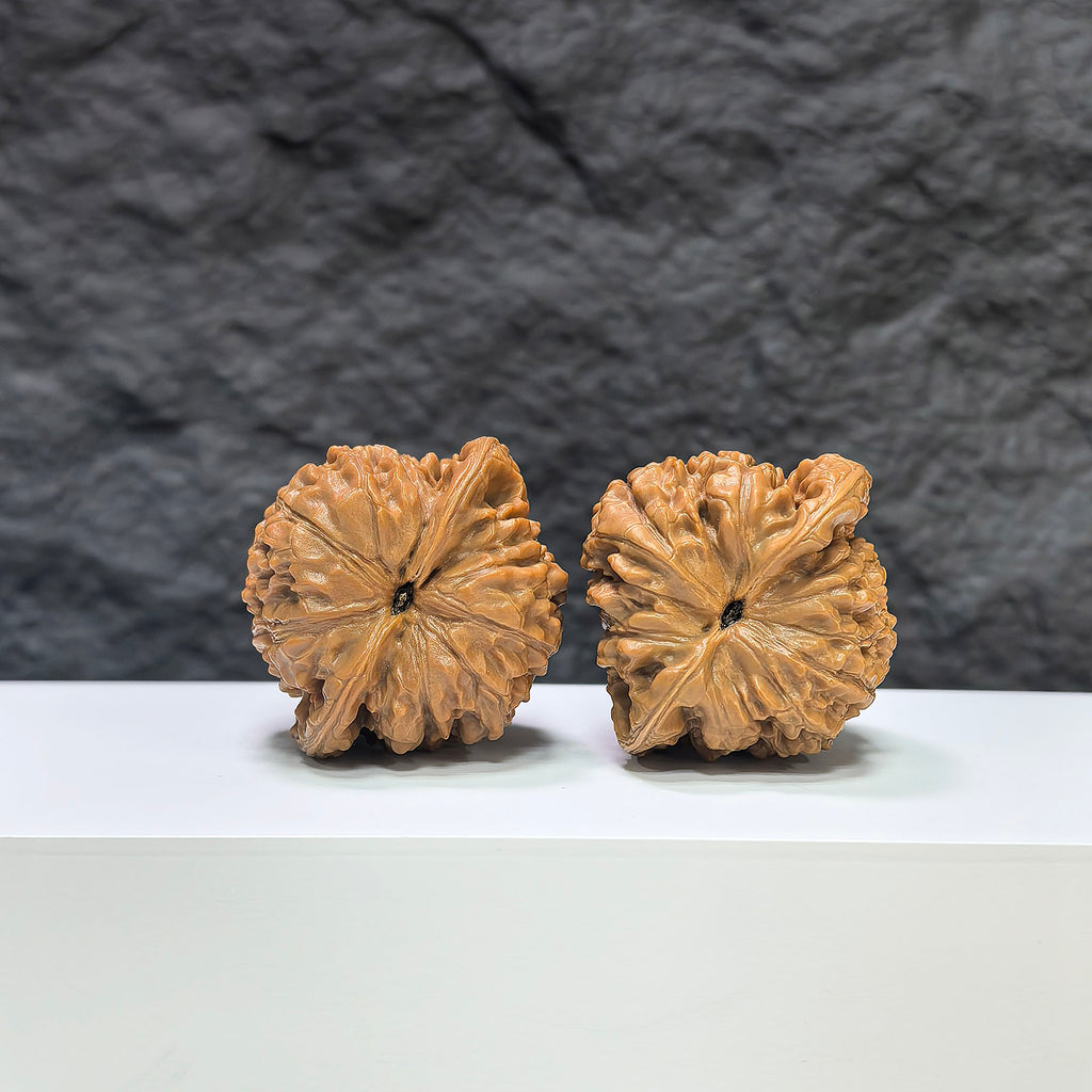 Pair of Kylin Texture Wenwan Walnuts by Wenwan Art, 40mm x 37mm, showcasing intricate 麒麟紋 pattern and natural walnut texture.