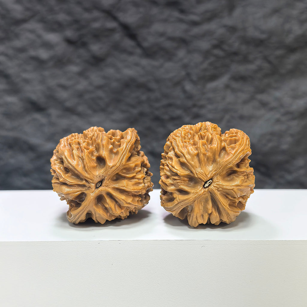 Pair of Beijing Chicken Heart Wenwan walnuts from Wenwan Art, 39mm, showcasing smooth, rounded walnut carvings in natural brown tones.