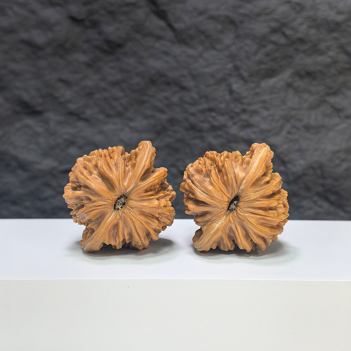Selected grade Sizuolou Wenwan walnut, 4.1 x 3.7cm, featuring smooth texture and natural wood grain for traditional Chinese play and collection.