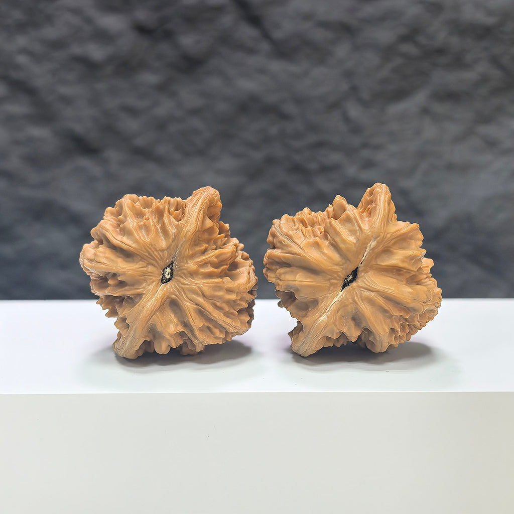 Pair of Peach Heart Xiayunling Wenwan walnuts from Wenwan Art, featuring 38mm x 36mm natural walnut with peach heart markings.