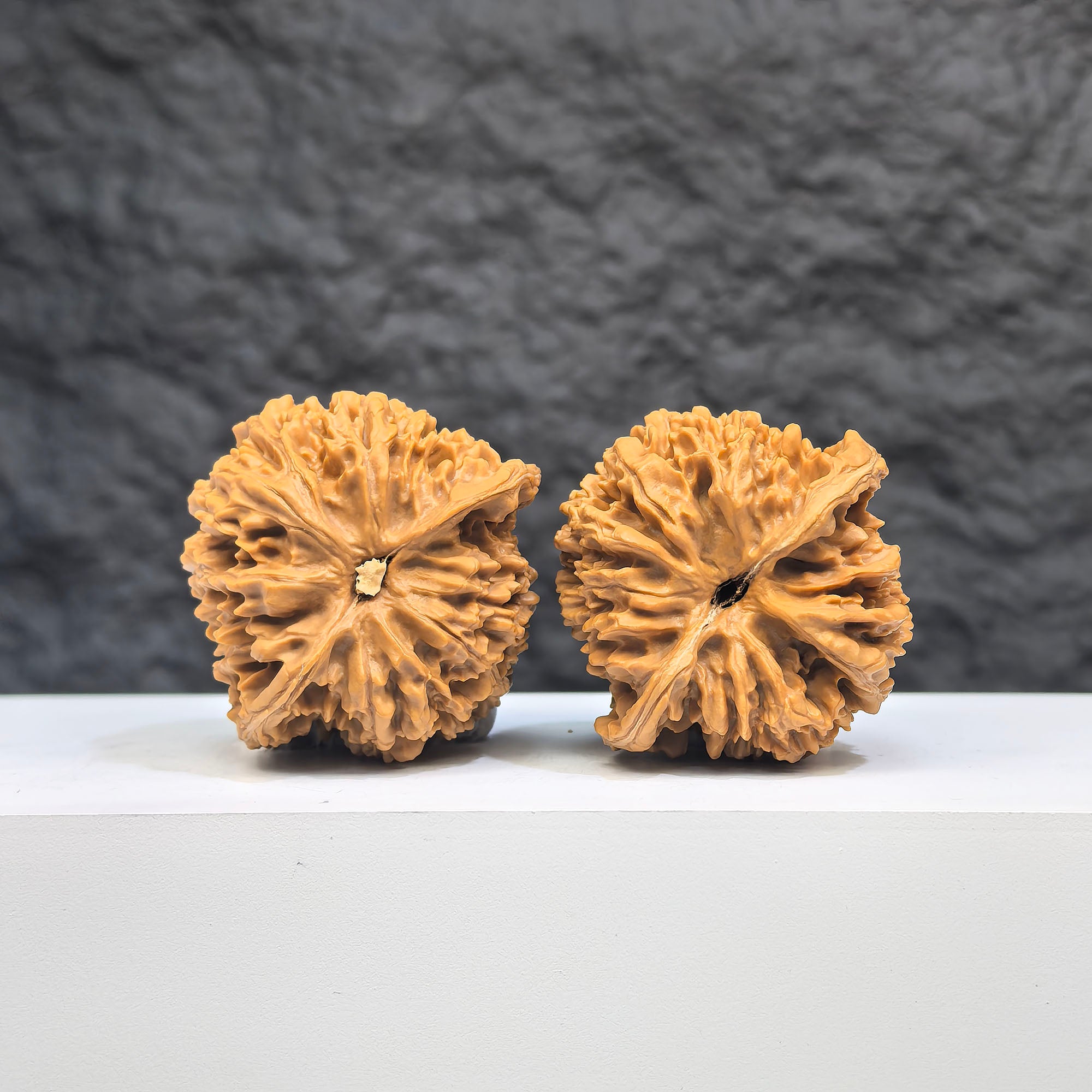 Wenwan Art Babys Breath full stars classic Wenwan walnut pair, 38mm x 37mm with intricate star carvings on smooth wood.