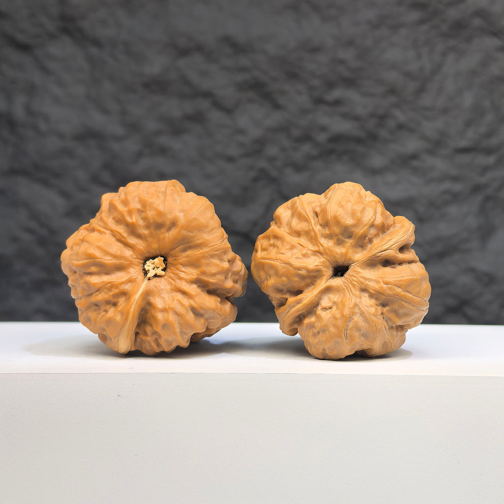 Pair of Toad Head Wenwan walnuts from Wenwan Art, 37mm x 35mm, featuring detailed carvings of toad head designs.