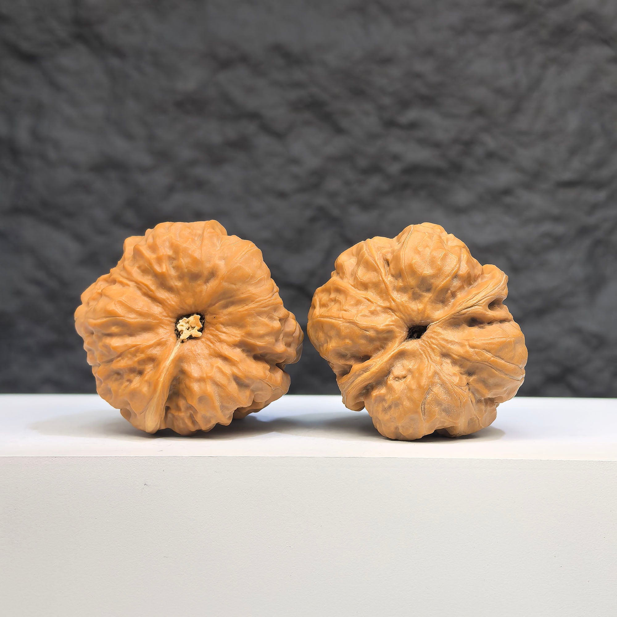 Pair of Toad Head Wenwan walnuts from Wenwan Art, 37mm x 35mm, featuring detailed carvings of toad head designs.