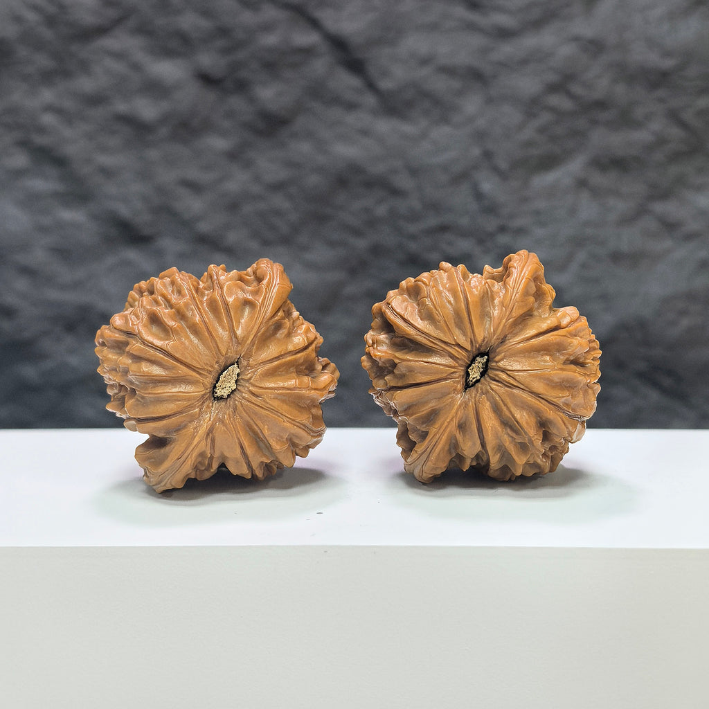 Pair of Classic Scholar Wenwan Walnut hand-matched art walnuts from Wenwan Art, 41mm x 39mm, showcasing detailed craftsmanship.